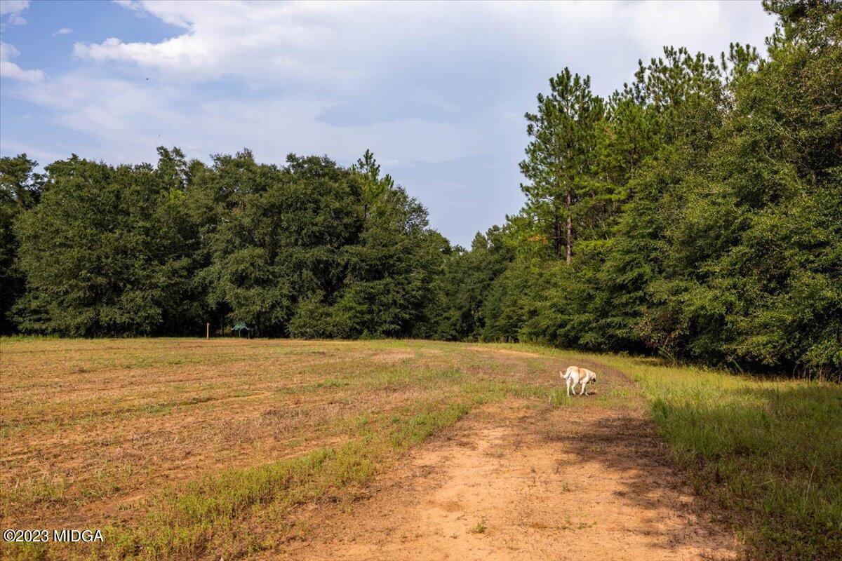 6641 Buckeye Road Perry, GA 31069 - Photo 67 of 92 110-267A2542