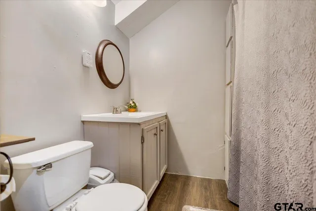 a bathroom with a toilet a sink and a mirror