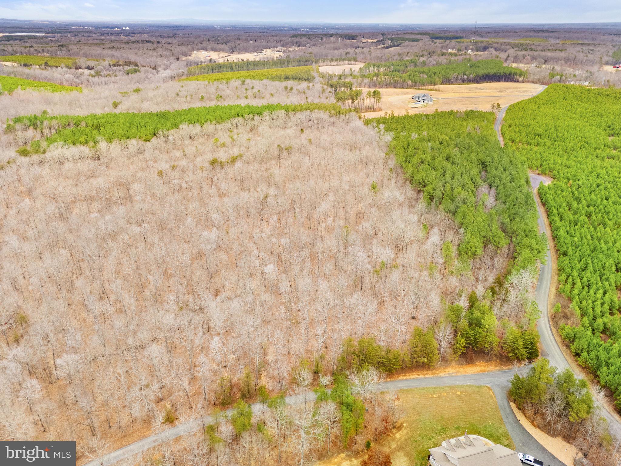 Sams Ridge Lignum, VA 22726 - Photo 22 of 31