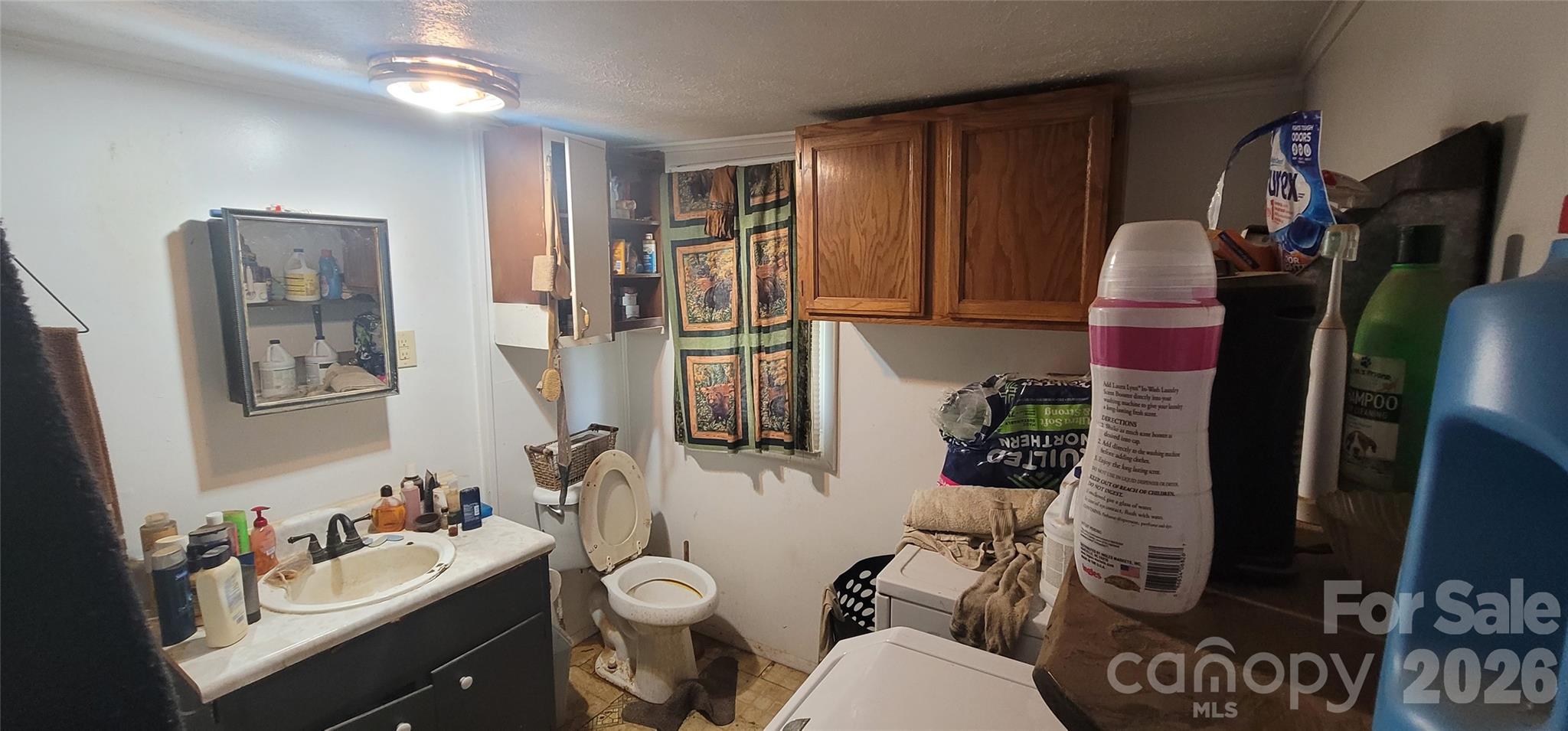 60 Mingus Street Canton, NC 28716 - Photo 10 of 14 a bathroom with a sink mirror vanity and toilet
