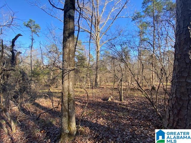 619 Ridge View Drive, Unit 5 ACRES Trussville, AL 35173 - Photo 11 of 20