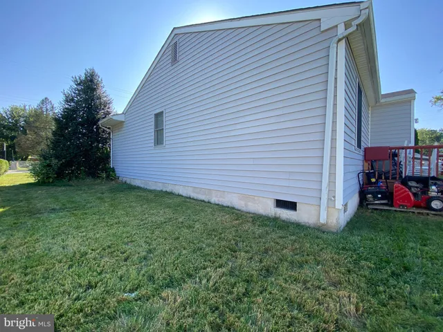 a view of a backyard with plants and a large tree