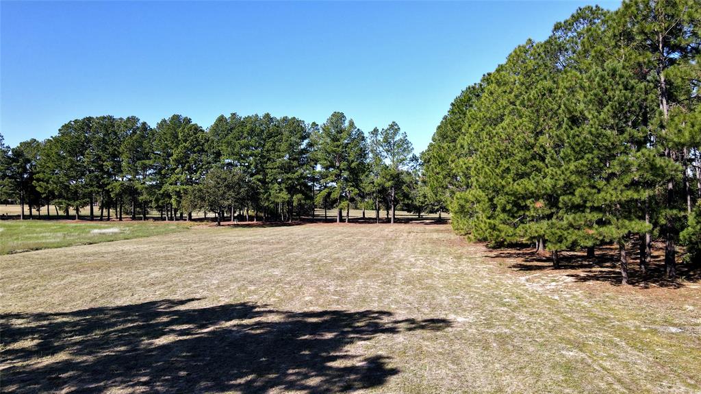 a view of outdoor space with trees