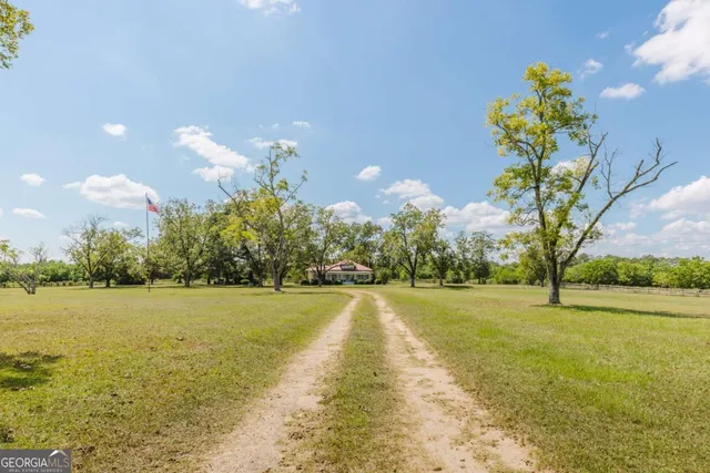 a view of a swimming pool with a garden