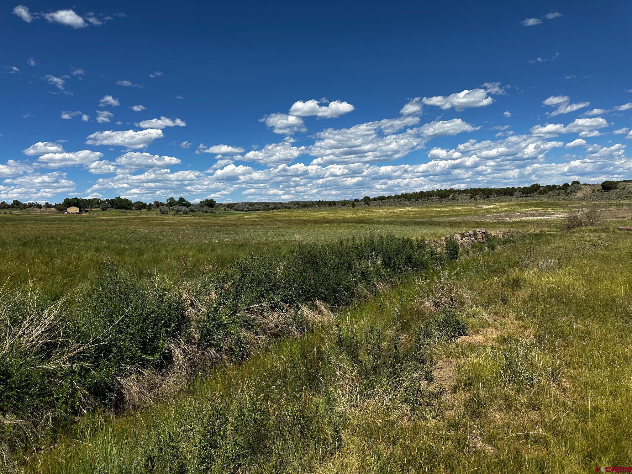 Tbd Road V 3 Lewis, CO 81327 - Photo 11 of 16 a view of a lake from a yard