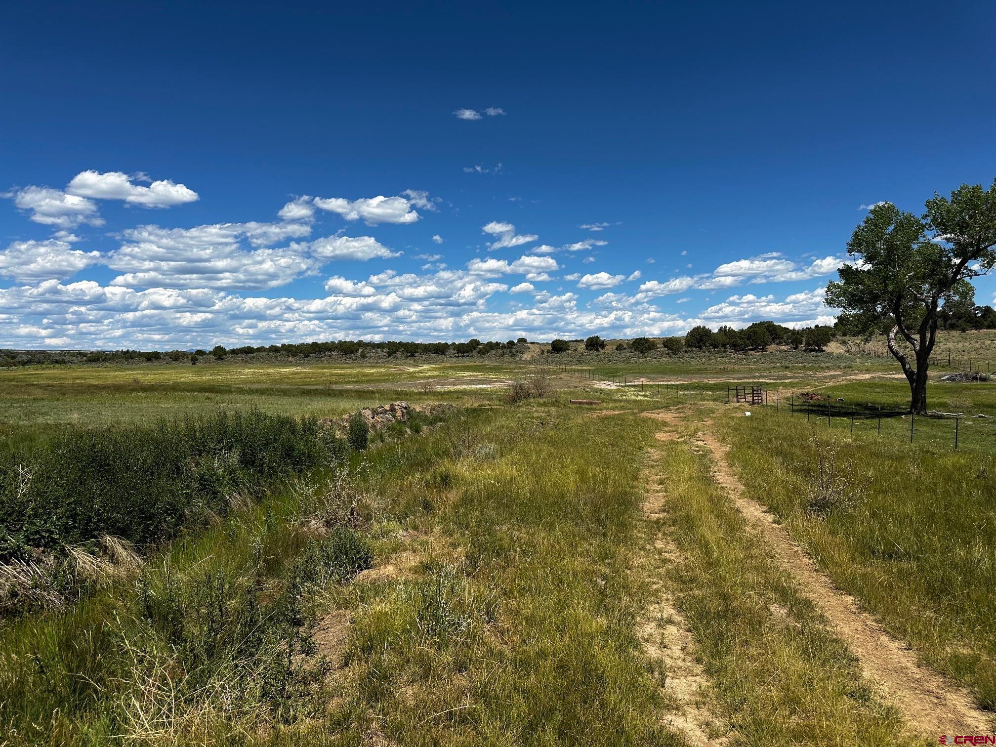 Tbd Road V 3 Lewis, CO 81327 - Photo 12 of 16 a view of a lake from a yard