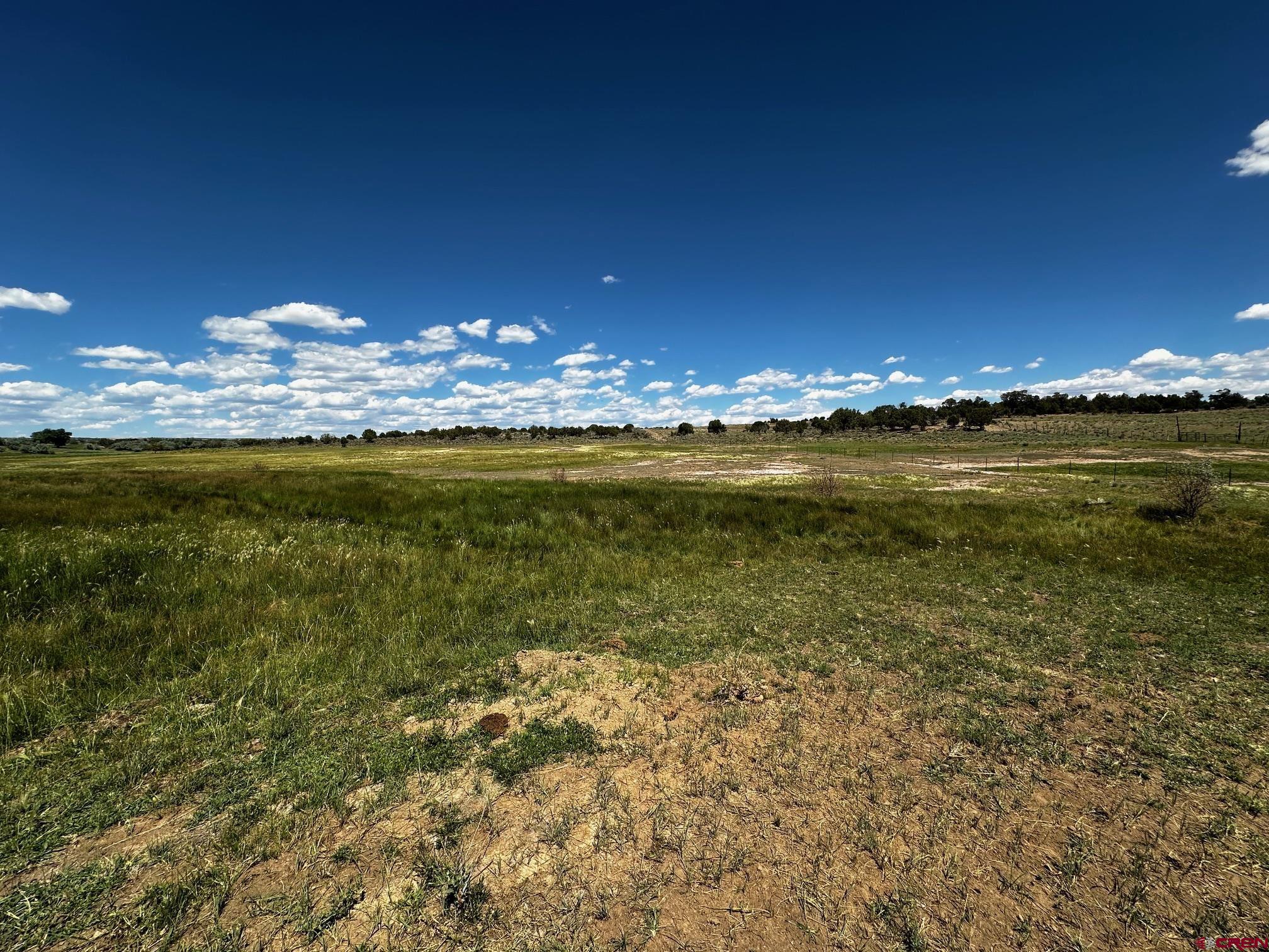 Tbd Road V 3 Lewis, CO 81327 - Photo 13 of 16 a view of a lake and a building
