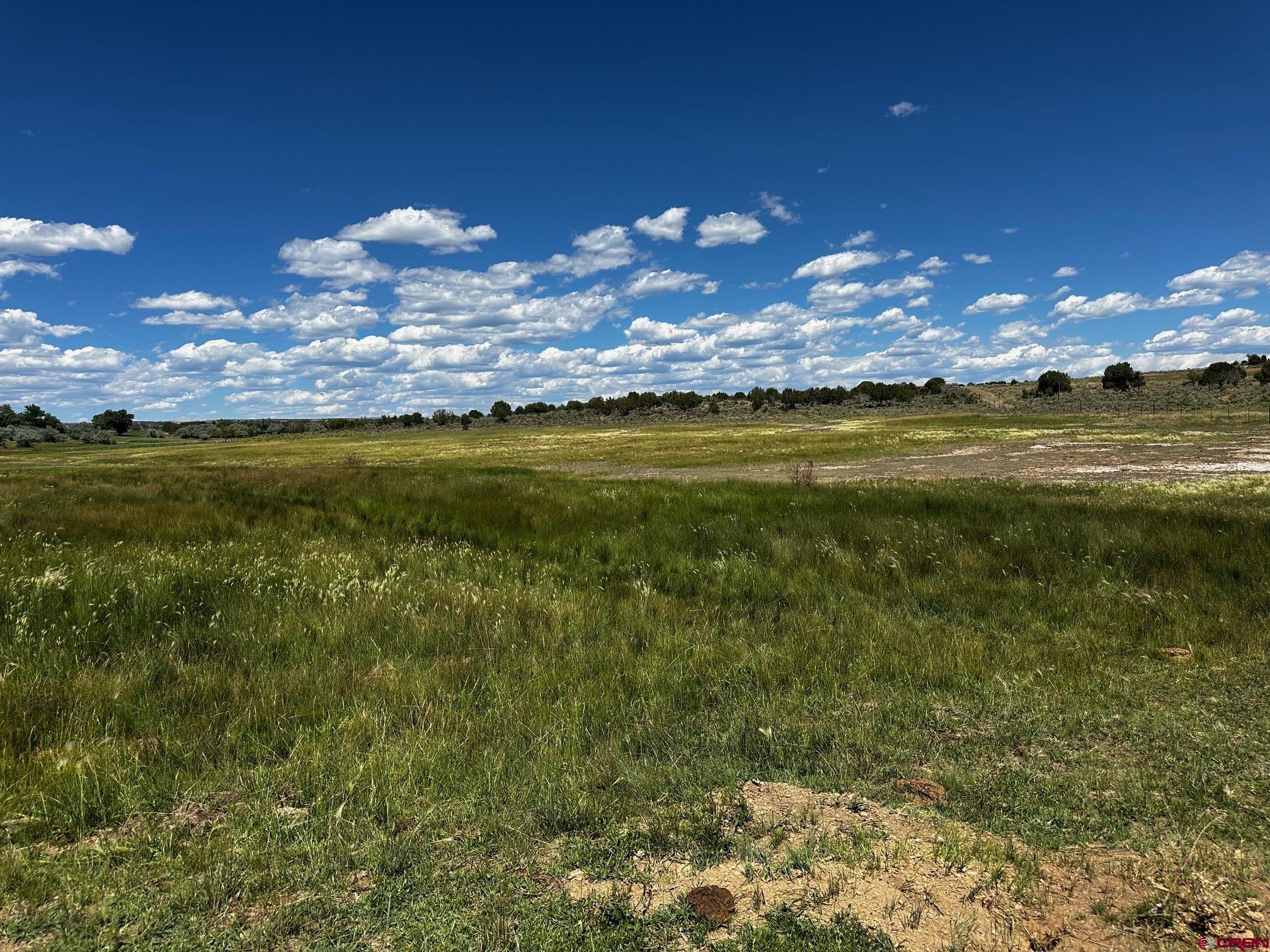 Tbd Road V 3 Lewis, CO 81327 - Photo 14 of 16 a view of a lake from a yard