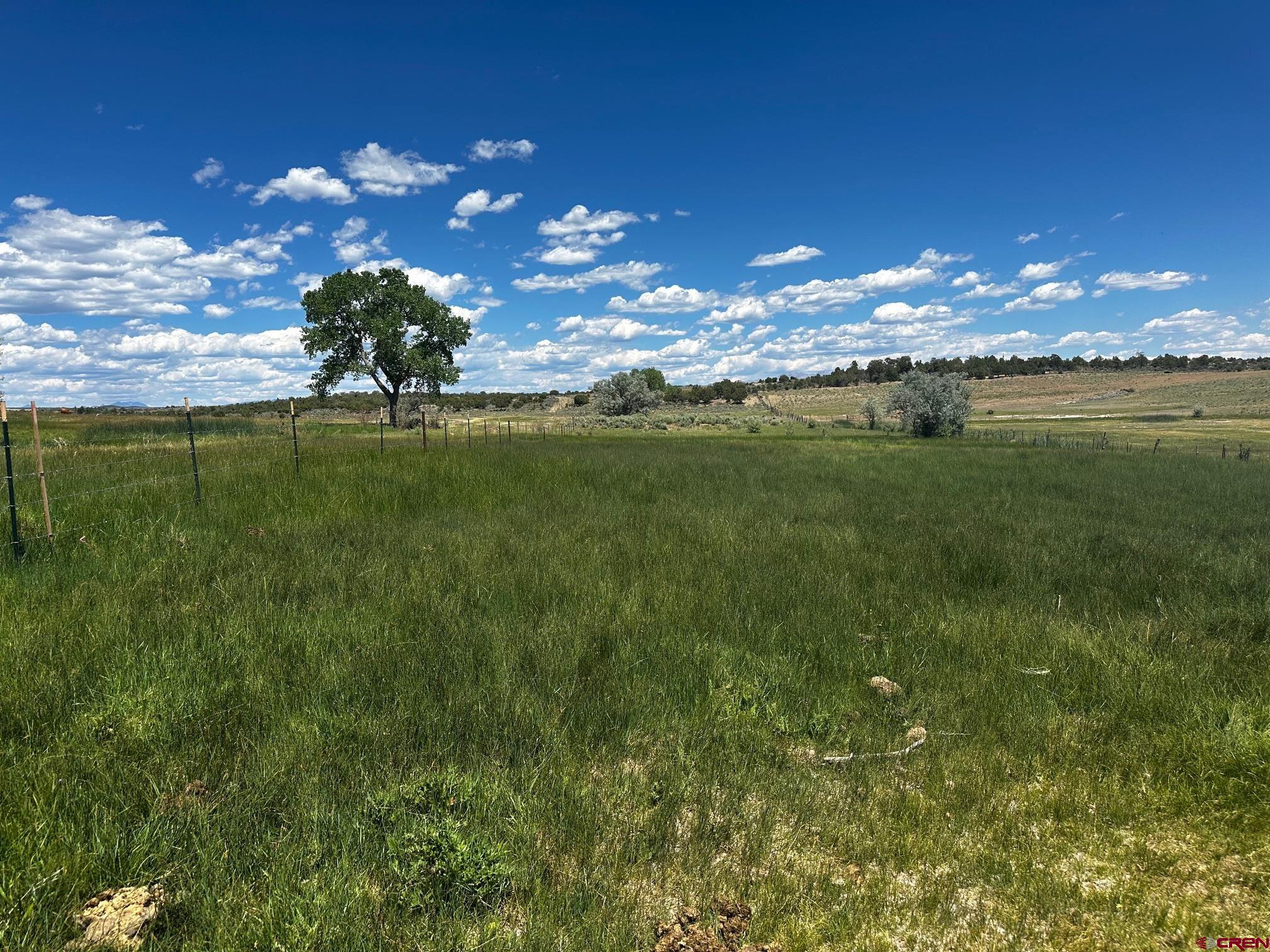 Tbd Road V 3 Lewis, CO 81327 - Photo 2 of 16 a view of a golf course with a lake
