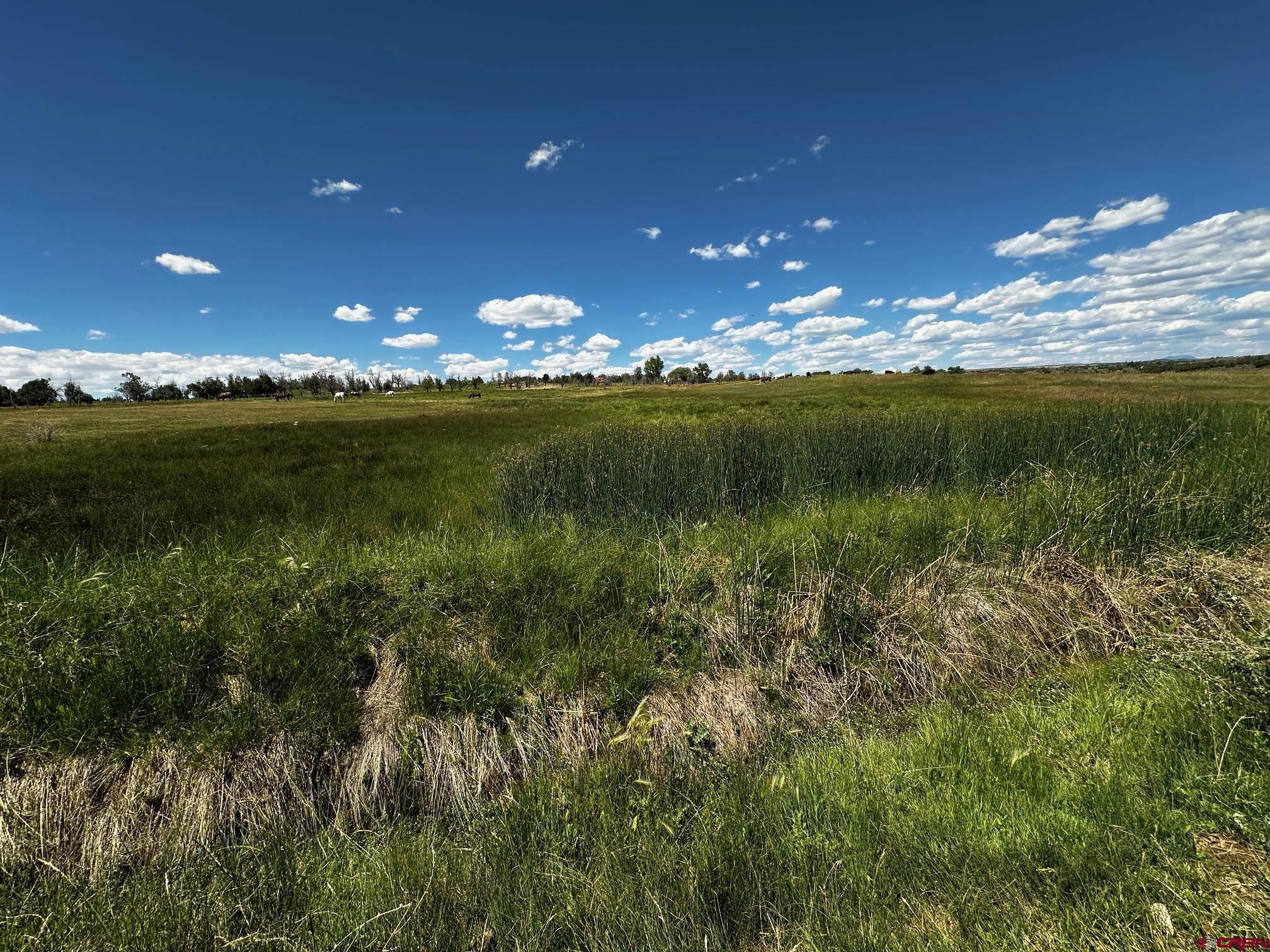 Tbd Road V 3 Lewis, CO 81327 - Photo 4 of 16 a view of a lake in the sunset