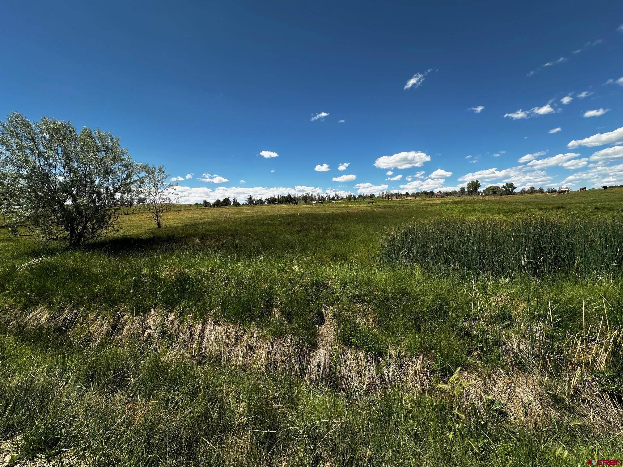 Tbd Road V 3 Lewis, CO 81327 - Photo 5 of 16 a view of a lake and green space