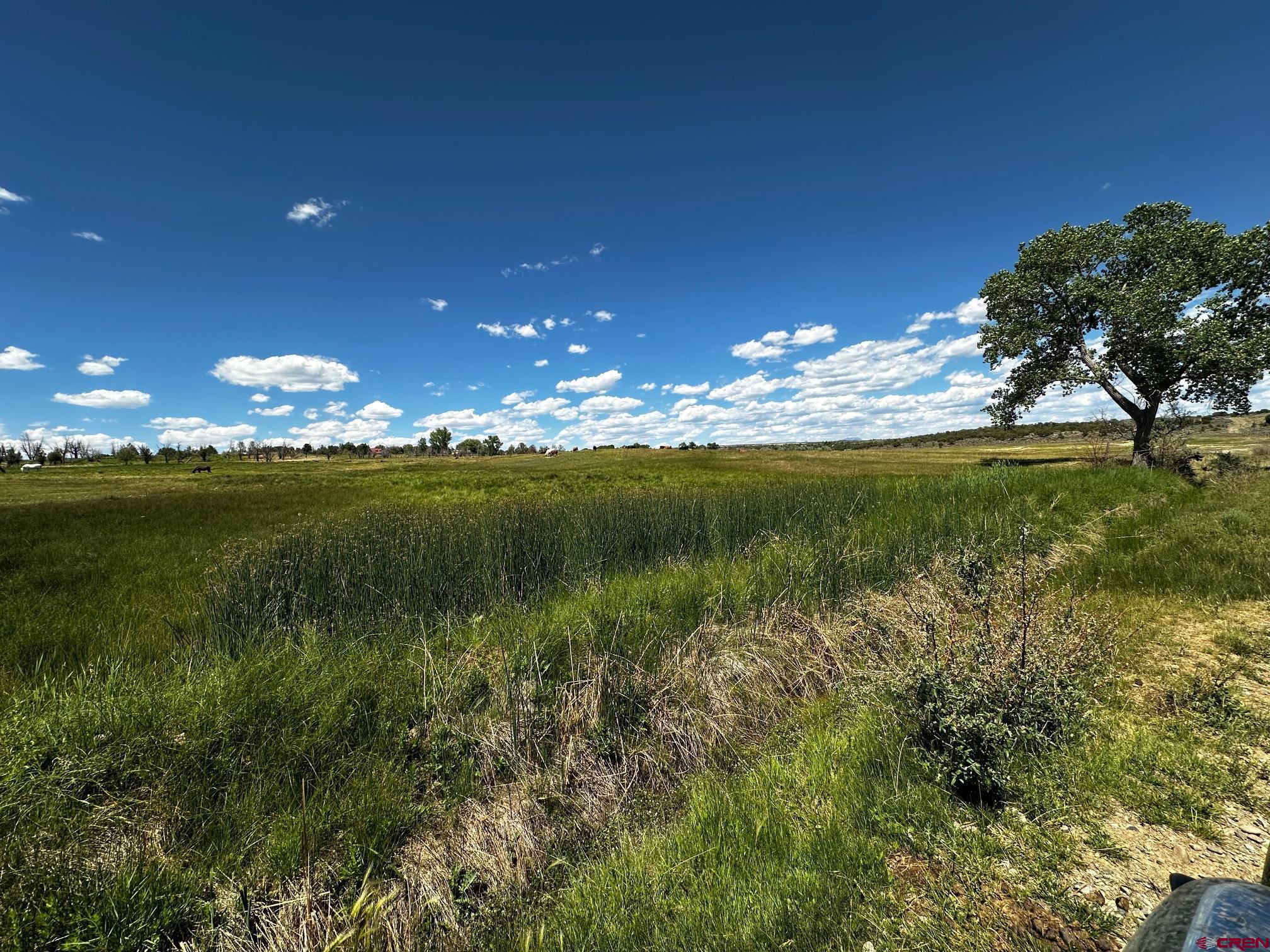 Tbd Road V 3 Lewis, CO 81327 - Photo 6 of 16 a view of a lake in a sunset