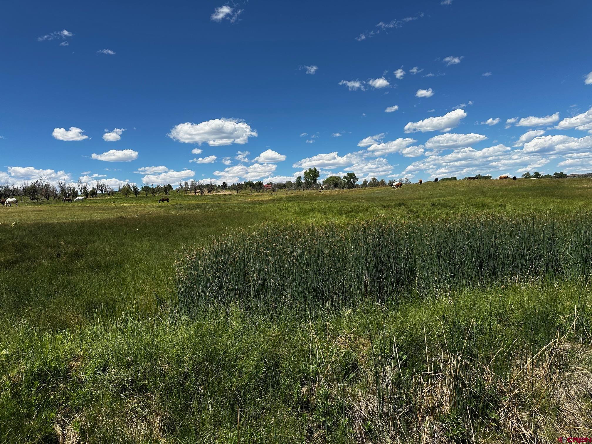 Tbd Road V 3 Lewis, CO 81327 - Photo 8 of 16 a view of a golf course