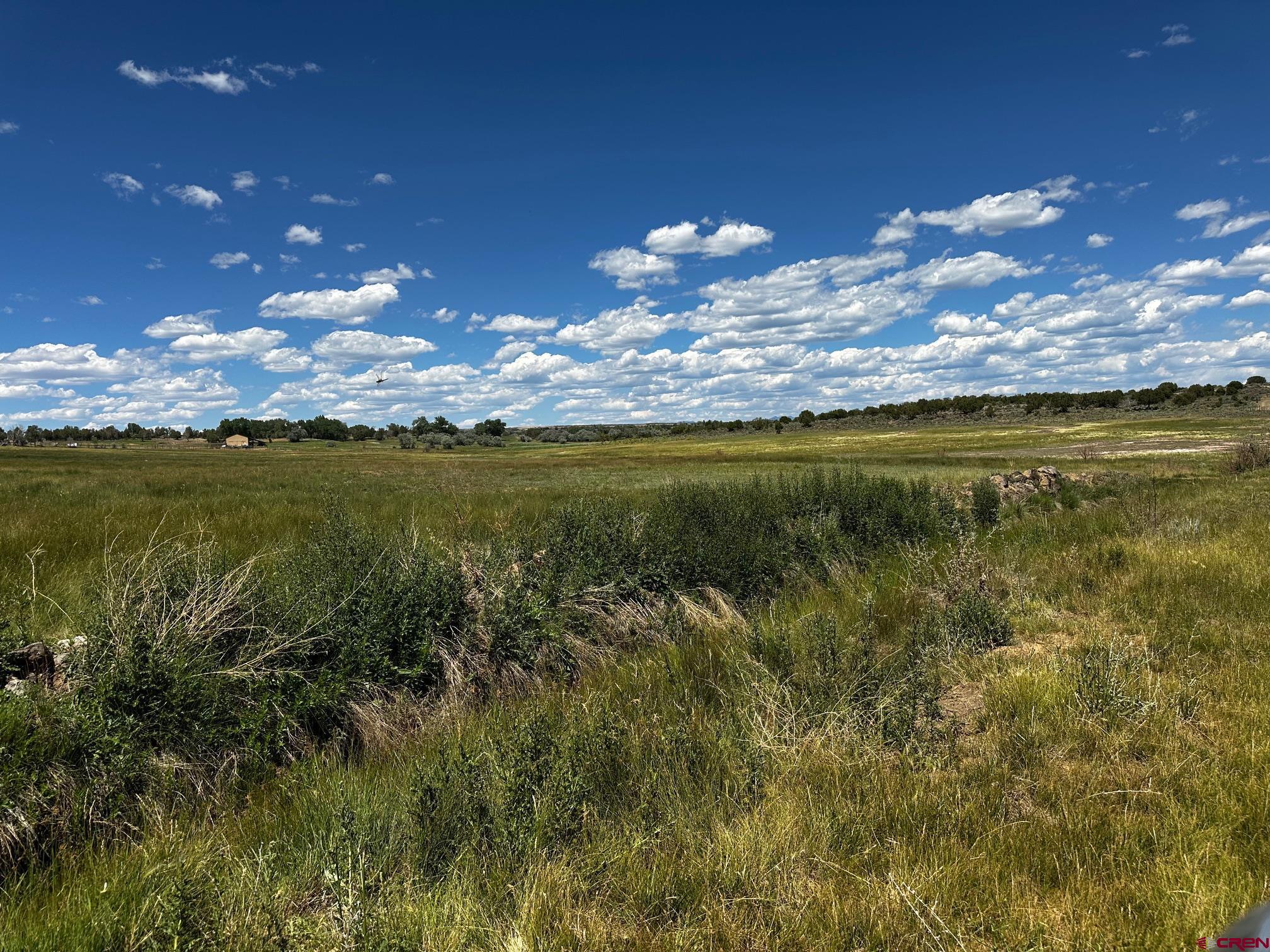 Tbd Road V 3 Lewis, CO 81327 - Photo 10 of 16 a view of a golf course with a lake