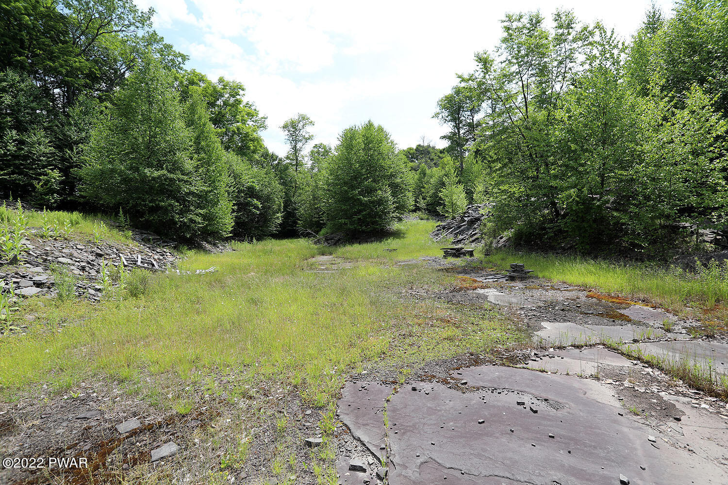 0 Minckler Mountain Road Damascus, PA 18415 - Photo 22 of 43