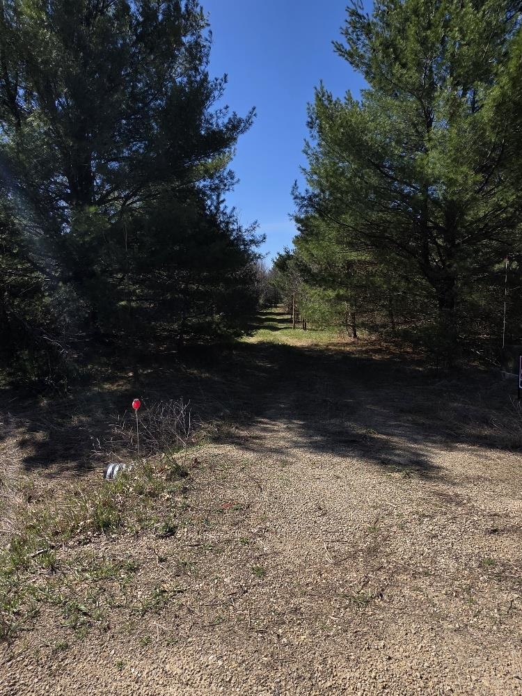 County Road Wautoma, WI 54982 - Photo 6 of 11