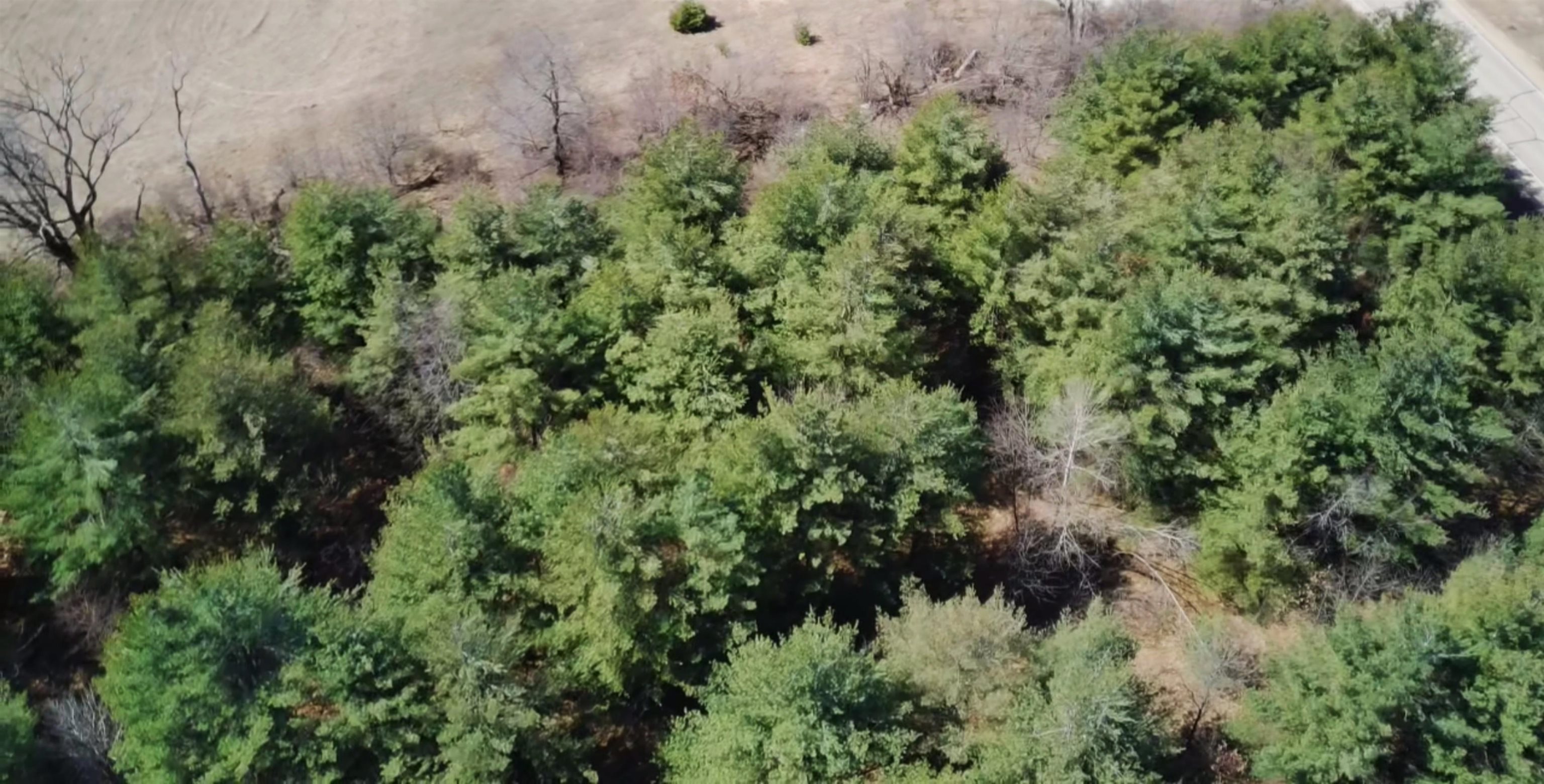 County Road Wautoma, WI 54982 - Photo 8 of 11