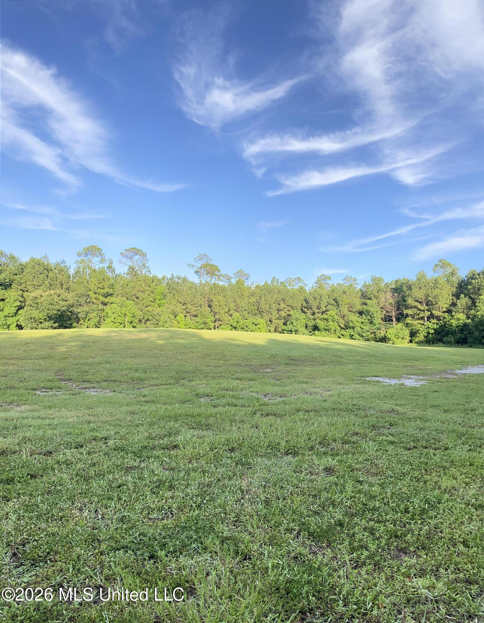 1441 Blue Meadow Road Bay St. Louis, MS 39520 - Photo 29 of 29 IMG_1634