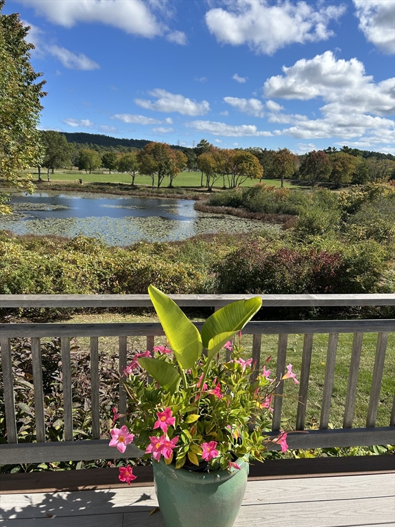 a view of a lake with a flower garden