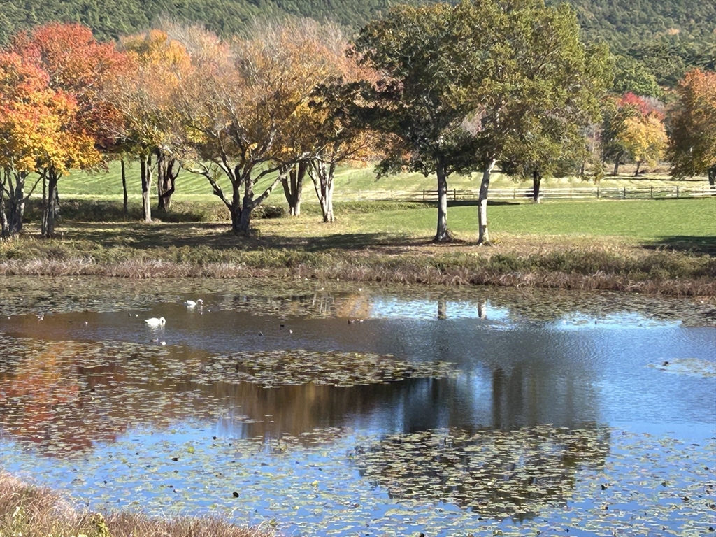 122 Clifford Road Plymouth, MA 02360 - Photo 2 of 38 a view of a lake with a yard and large trees
