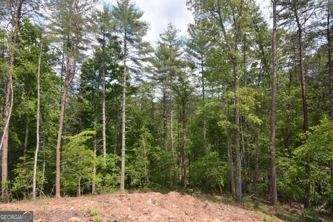 $1,525,000 | 3 Murphy Highway, Mineral Bluff, GA 30559