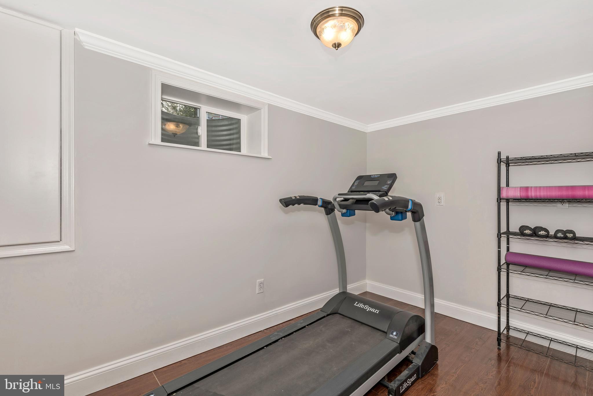 13904 Darnestown Road Gaithersburg, MD 20878 - Photo 33 of 42 Additional Lower Level Room for a Work-out Area
