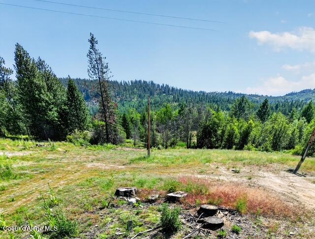 197 Schneiders Road Sagle, ID 83860 - Photo 25 of 34 11580