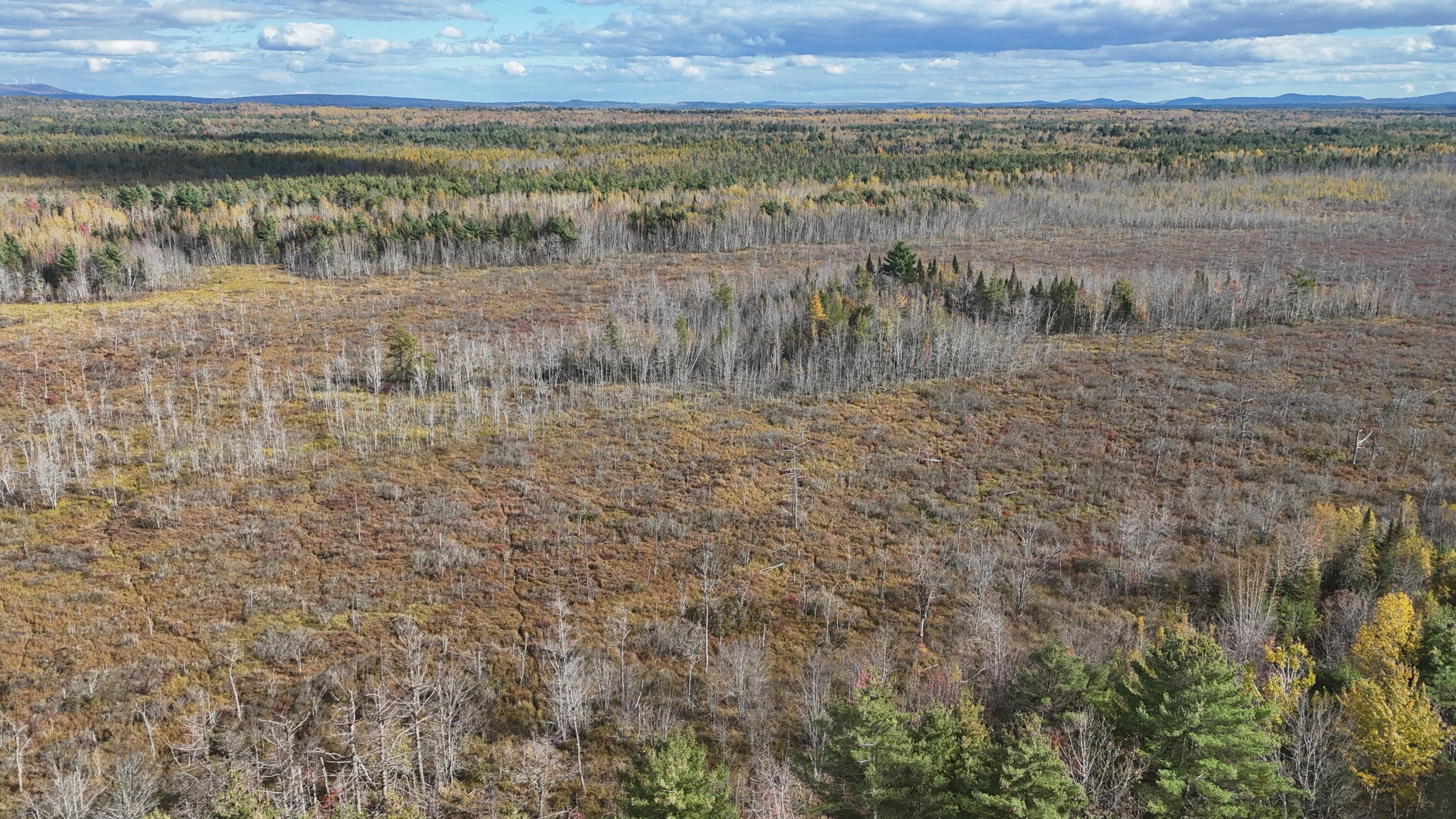 14-5 Pine Road Greenbush, ME 04418 - Photo 12 of 13 DJI_20231019134211_0007_D