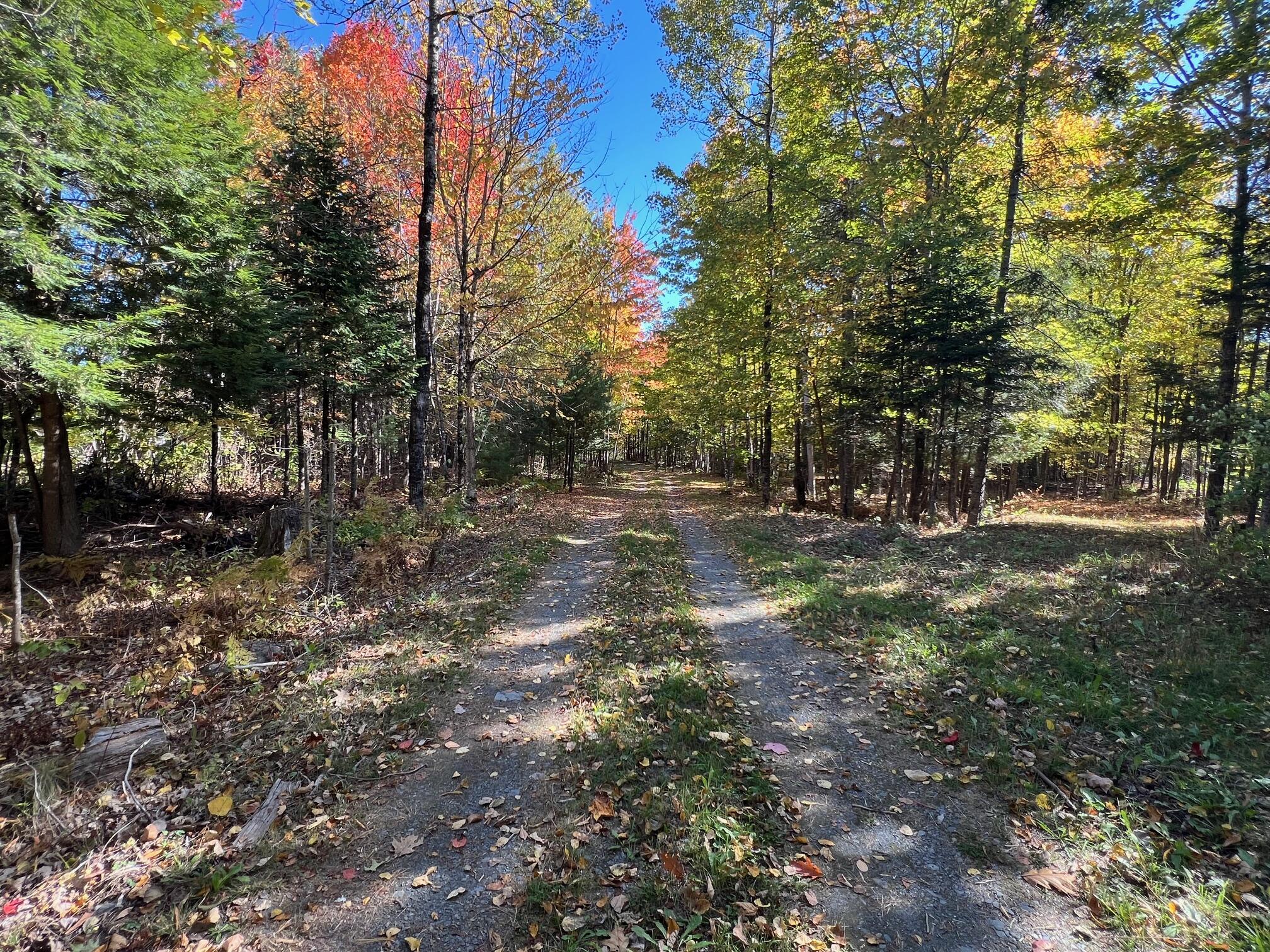 10 Map Road Dover-Foxcroft, ME 04426 - Photo 14 of 15 14