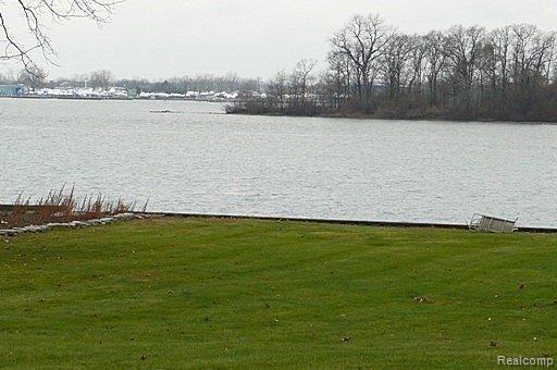27990 Southpointe Road Grosse Ile, MI 48138 - Photo 21 of 22 Southpointe Rvr 1
