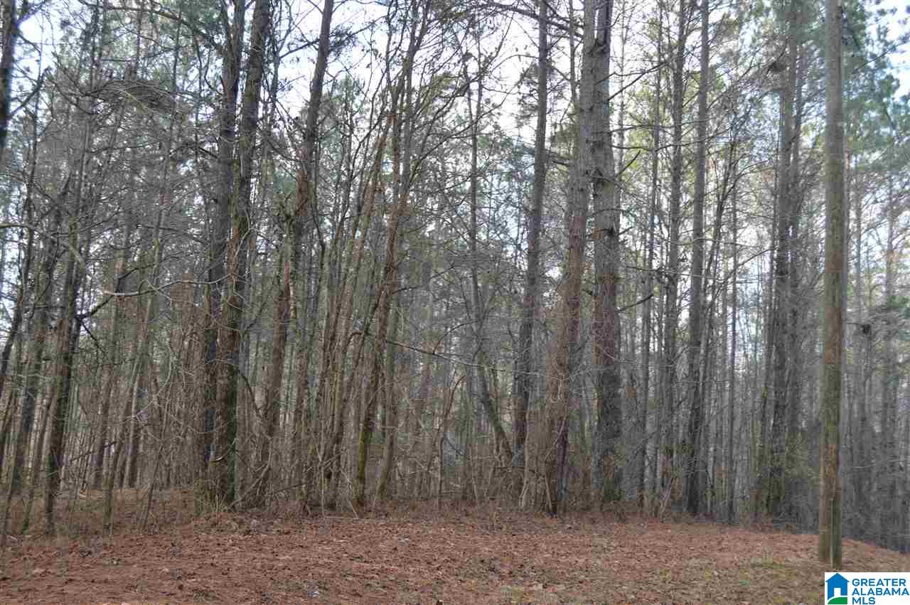 9776 Mcpherson Road, Unit 5 1 ACRES Warrior, AL 35180 - Photo 4 of 16 Gallery Image 4