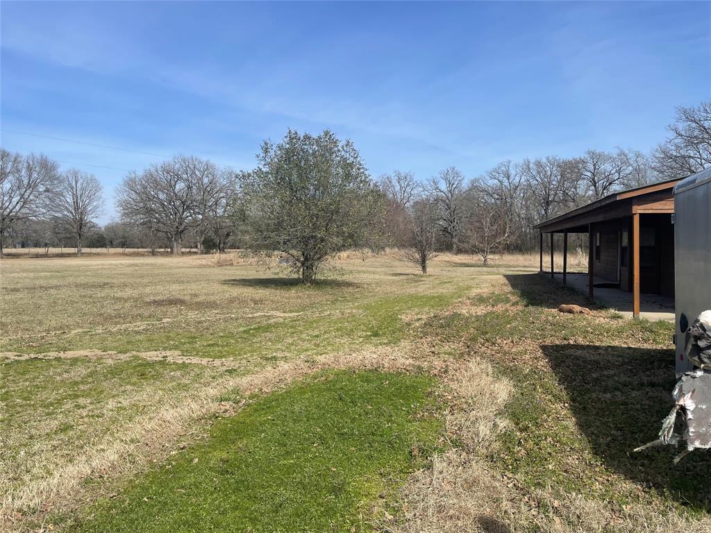 1226 Vz County Road Grand Saline, TX 75140 - Photo 4 of 26