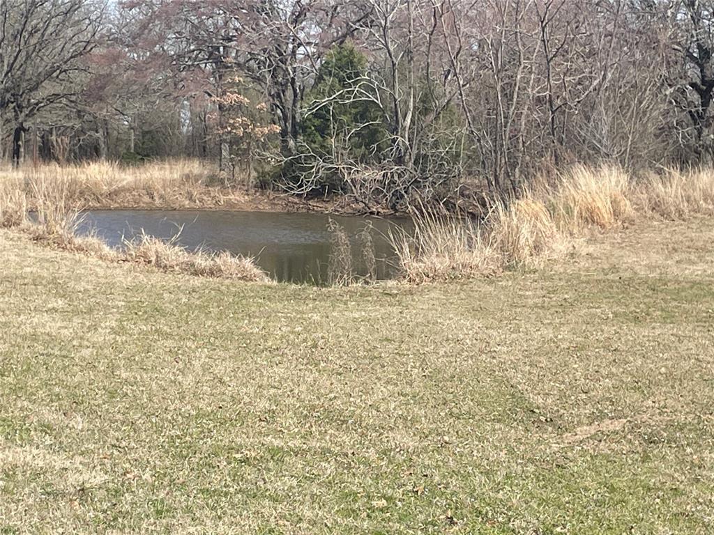 1226 Vz County Road Grand Saline, TX 75140 - Photo 5 of 26