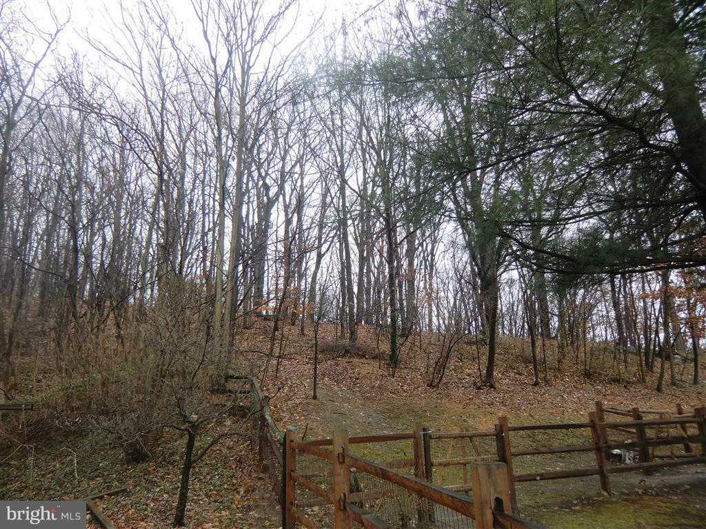 2711 Monocacy Bottom Road Adamstown, MD 21710 - Photo 25 of 28 Exterior (Rear)