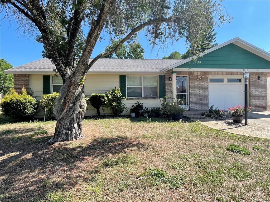 6944 Larchmont Avenue New Port Richey, FL 34653 - Photo 1 of 28 a front view of a house with garden