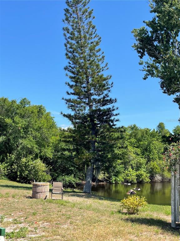 6944 Larchmont Avenue New Port Richey, FL 34653 - Photo 24 of 28 a view of a swimming pool with a lake view