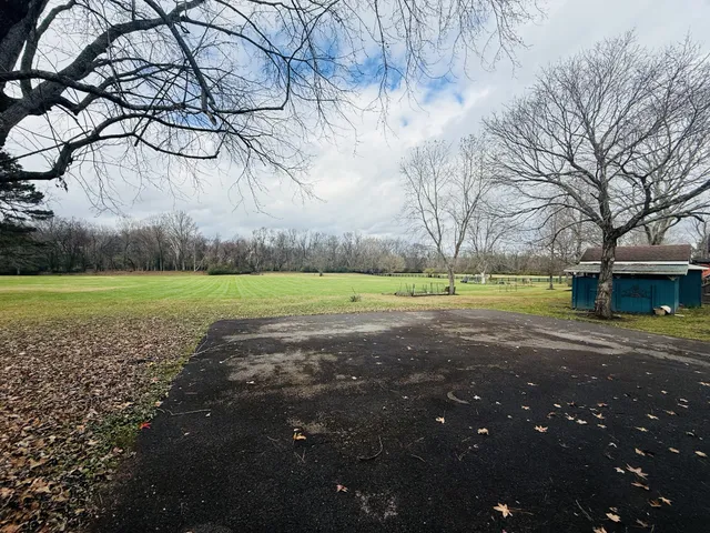 a view of a field with large trees