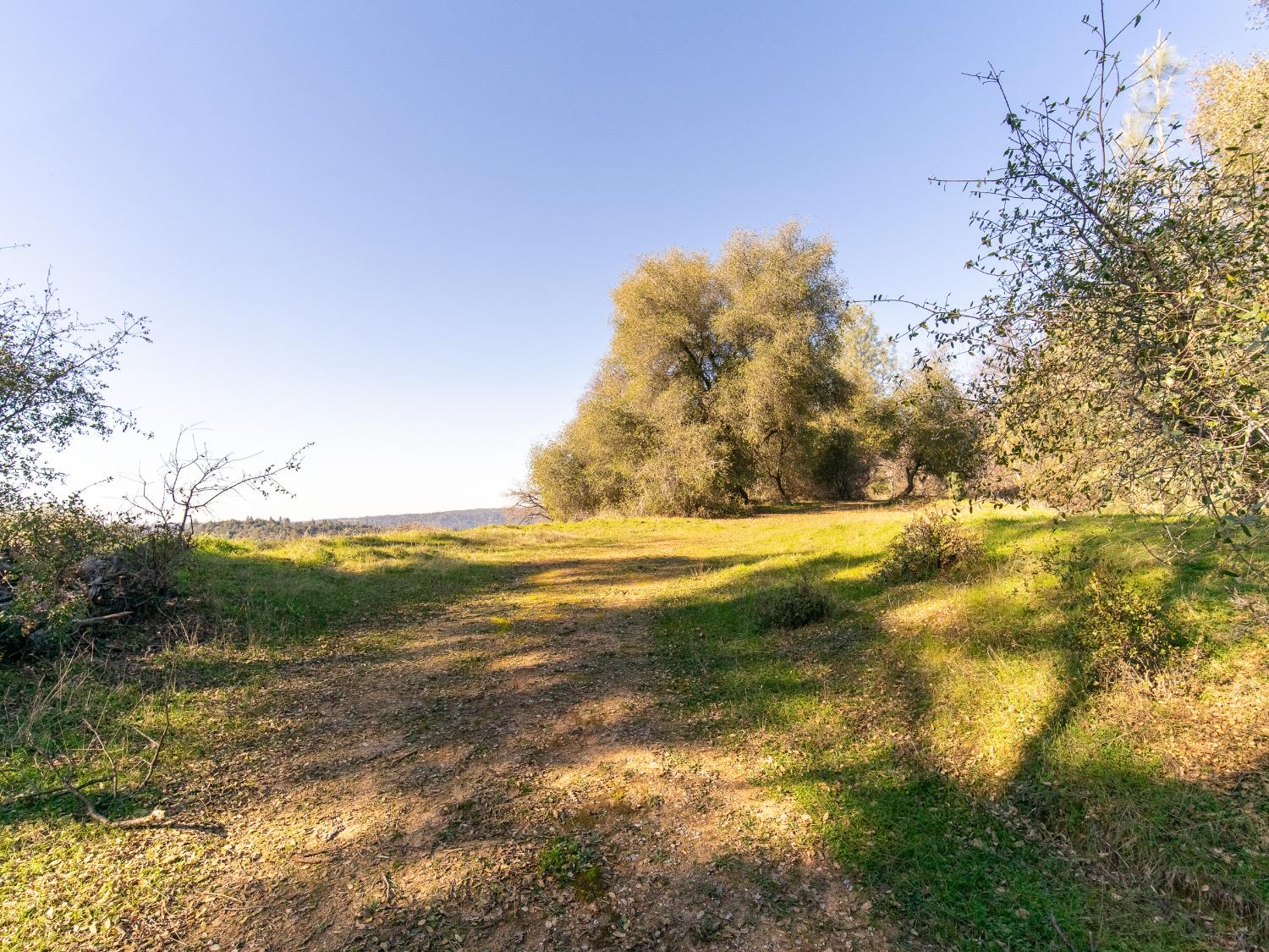 2241 Sand Ridge Road El Dorado, CA 95623 - Photo 13 of 43