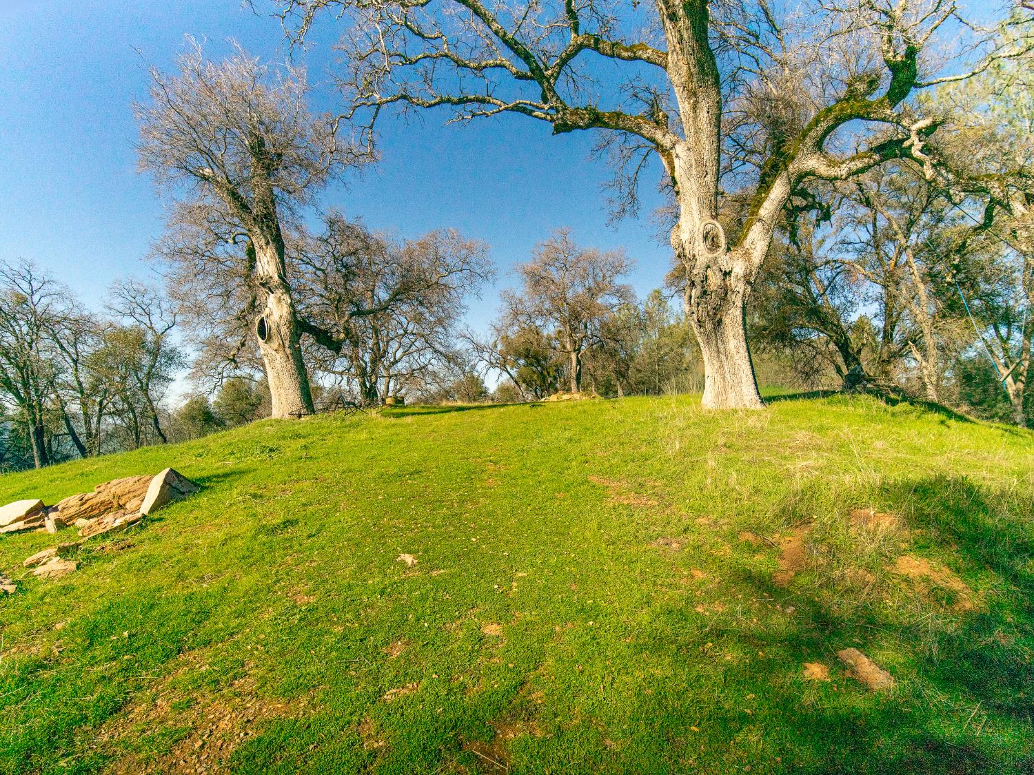 2241 Sand Ridge Road El Dorado, CA 95623 - Photo 20 of 43 a view of an outdoor space and a yard