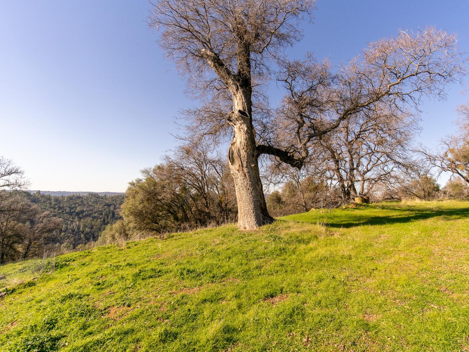 2241 Sand Ridge Road El Dorado, CA 95623 - Photo 21 of 43 a view of swimming pool with an outdoor space