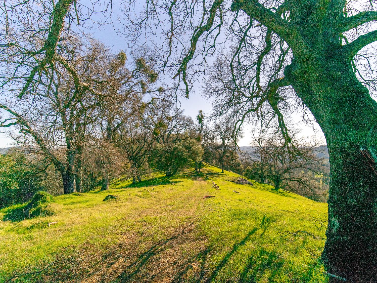 2241 Sand Ridge Road El Dorado, CA 95623 - Photo 22 of 43 a view of a swimming pool with an outdoor space and seating area