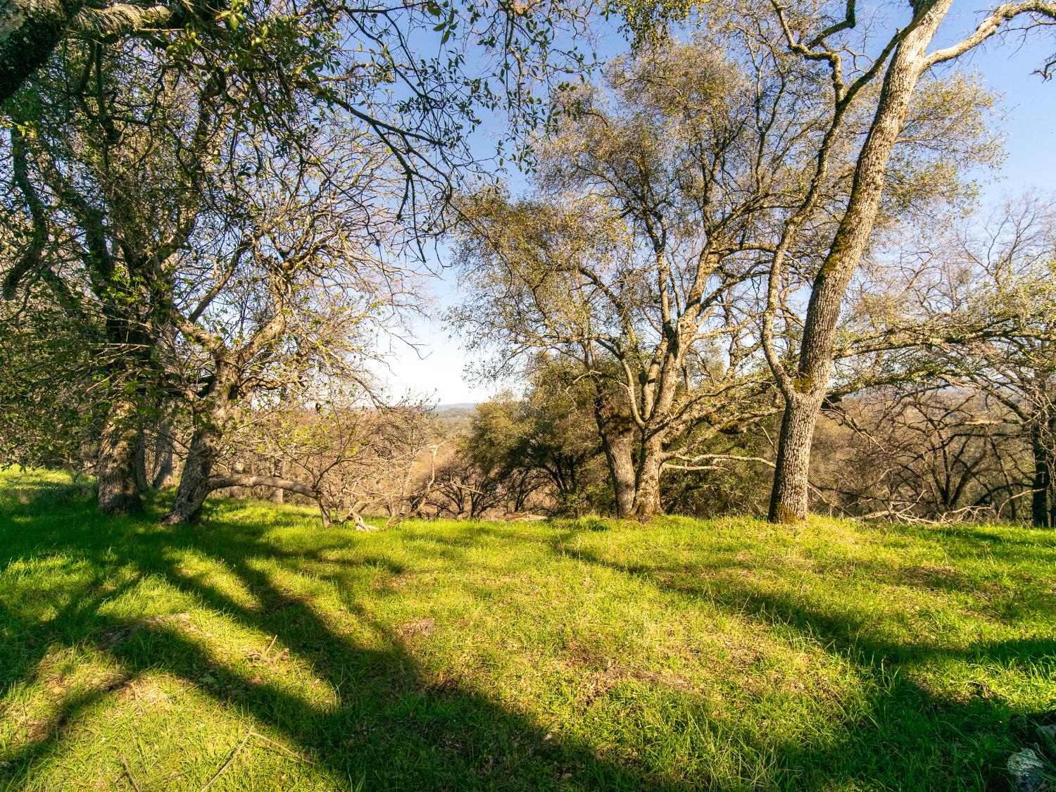 2241 Sand Ridge Road El Dorado, CA 95623 - Photo 23 of 43 a view of swimming pool with an outdoor space