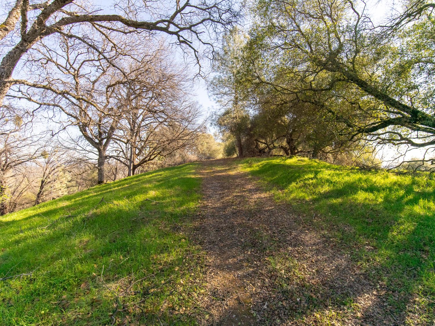 2241 Sand Ridge Road El Dorado, CA 95623 - Photo 25 of 43 a view of backyard with green space
