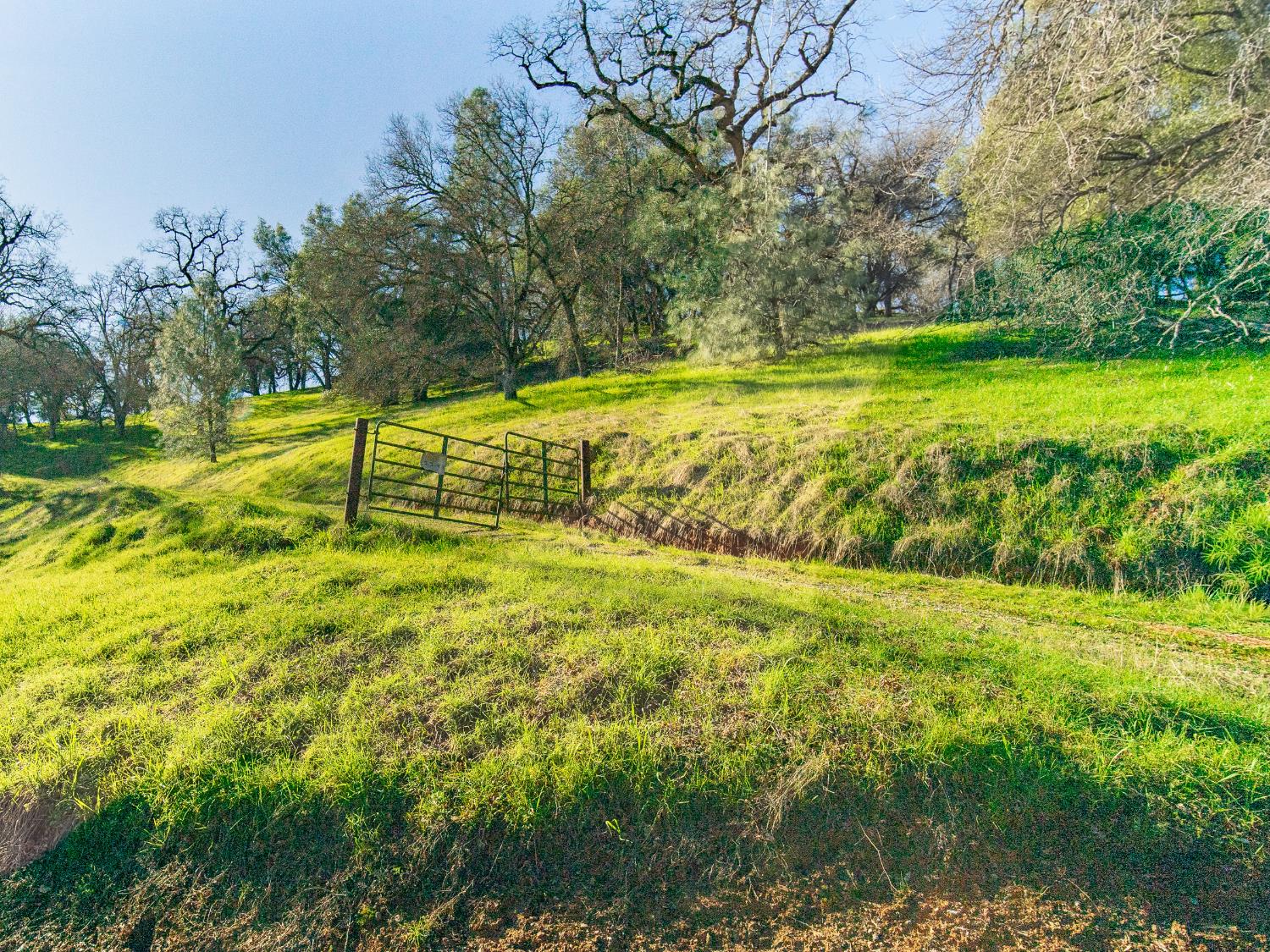 2241 Sand Ridge Road El Dorado, CA 95623 - Photo 29 of 43 a view of an outdoor space and a yard