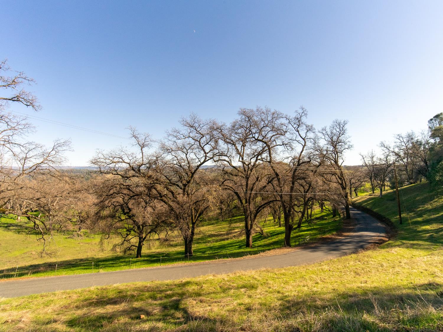 2241 Sand Ridge Road El Dorado, CA 95623 - Photo 3 of 43 a view of yard with swimming pool and trees