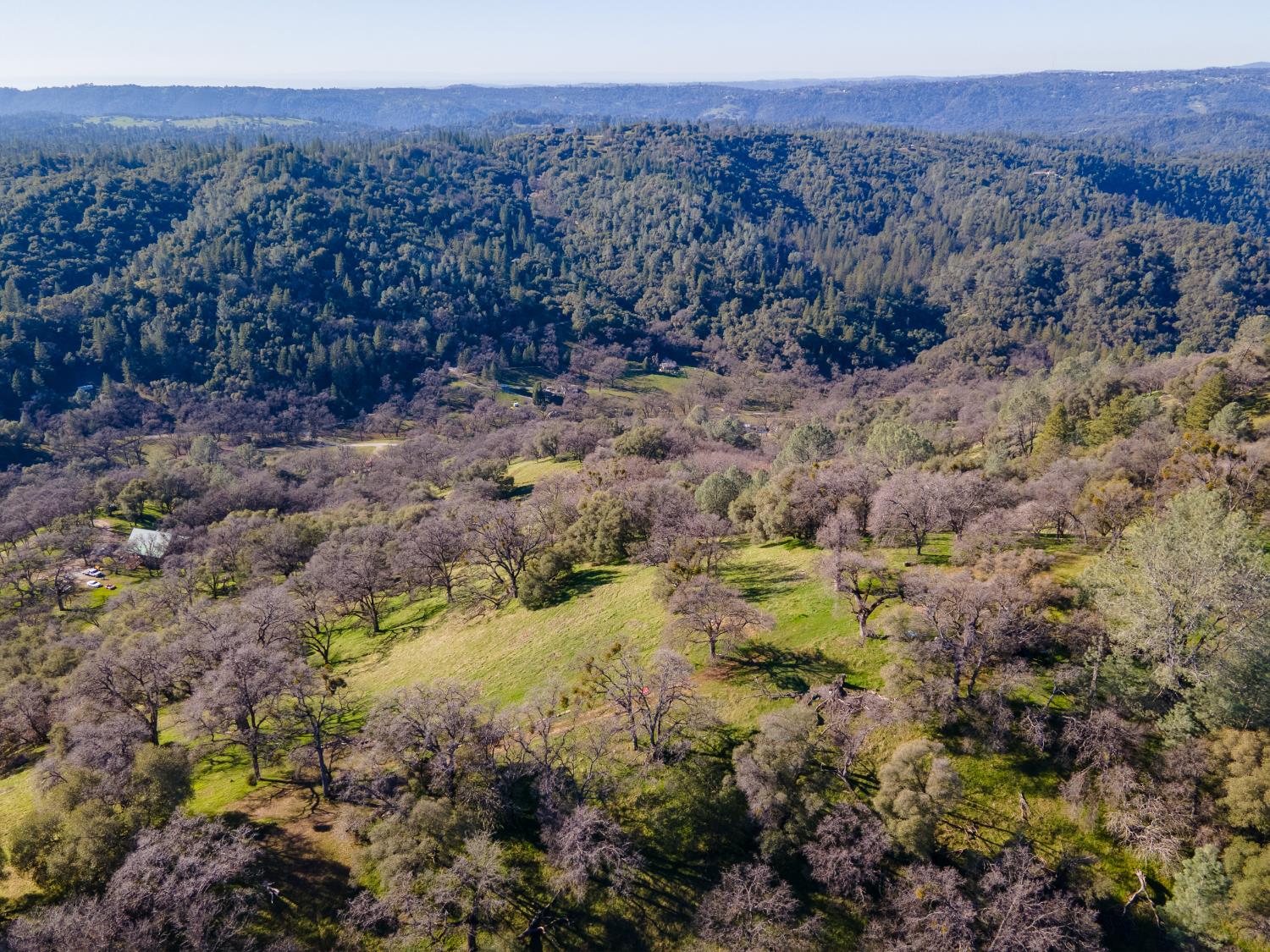 2241 Sand Ridge Road El Dorado, CA 95623 - Photo 32 of 43 a view of a bunch of trees and bushes