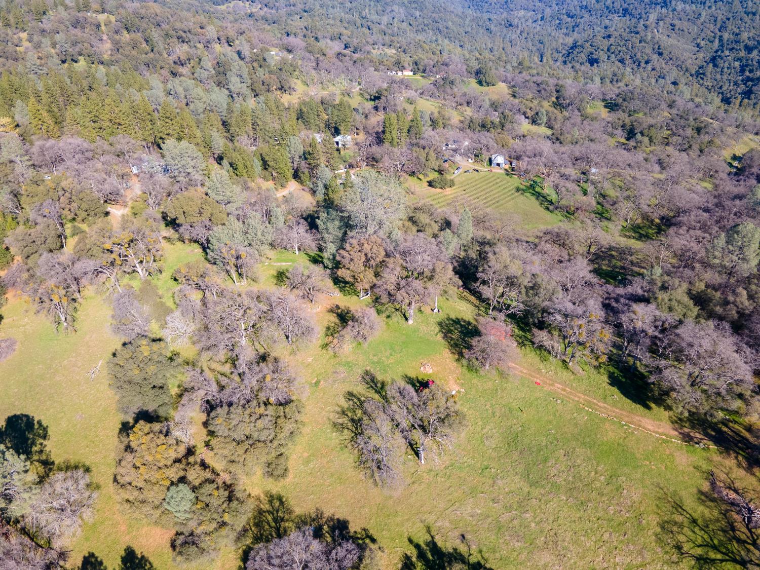 2241 Sand Ridge Road El Dorado, CA 95623 - Photo 34 of 43