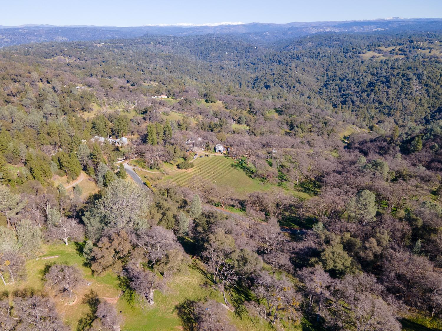 2241 Sand Ridge Road El Dorado, CA 95623 - Photo 38 of 43 a view of a forest with a mountain in the background