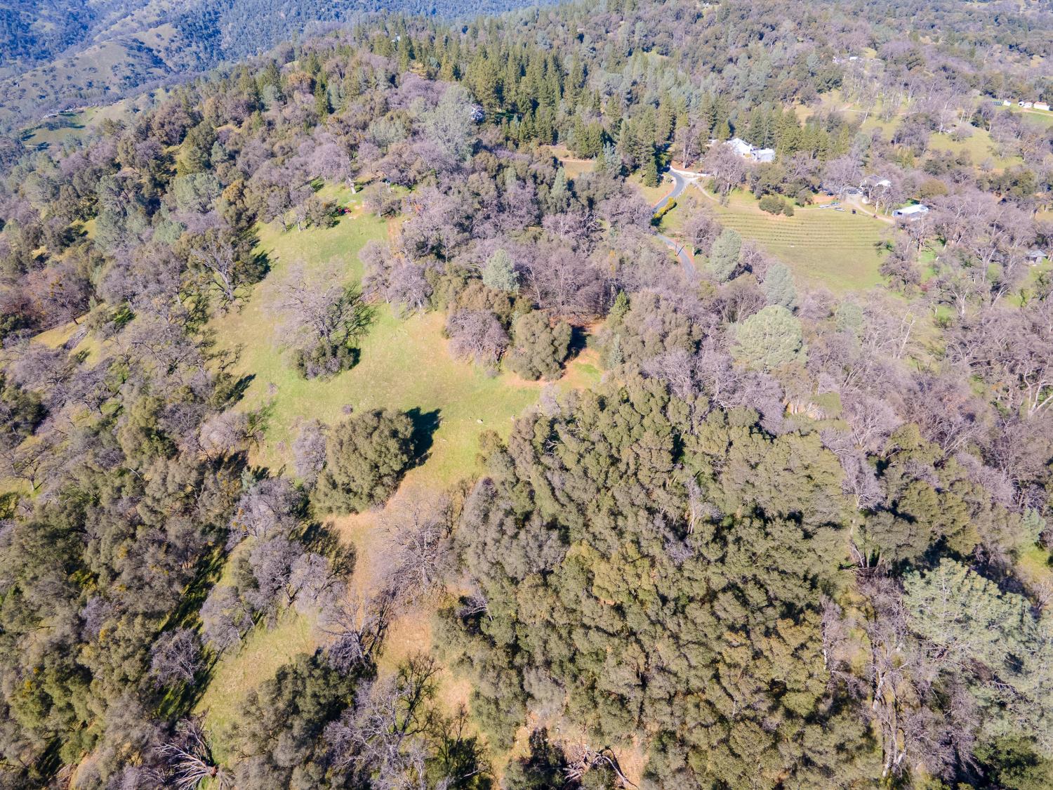 2241 Sand Ridge Road El Dorado, CA 95623 - Photo 41 of 43 a view of a dry yard with lots of bushes
