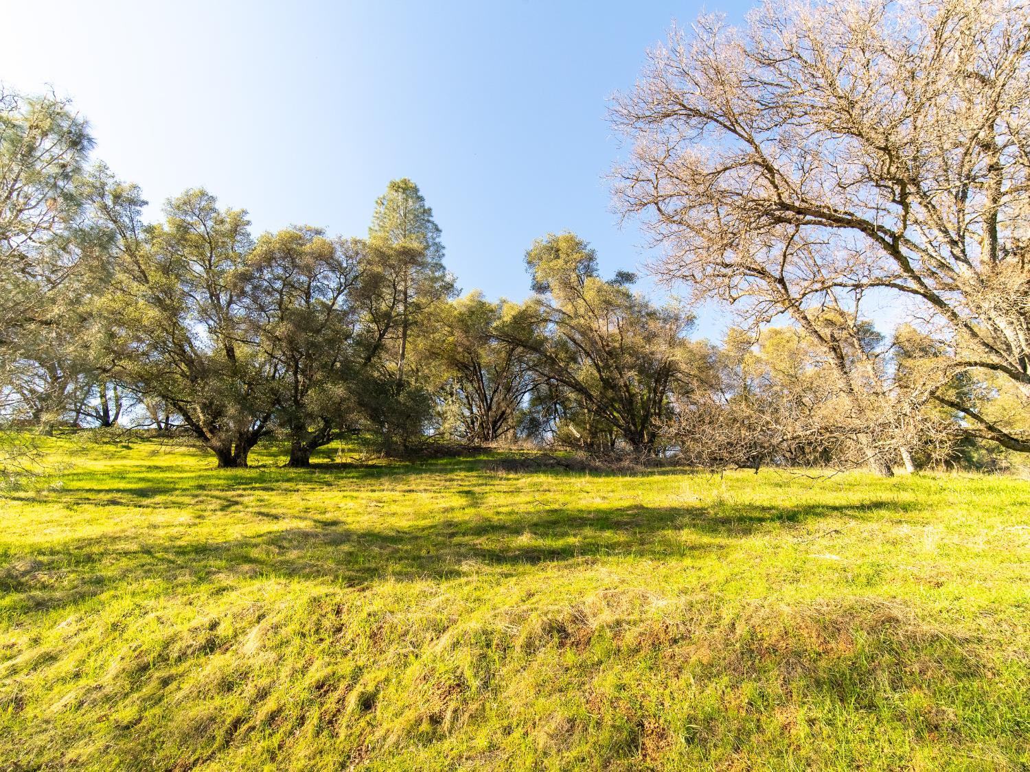 2241 Sand Ridge Road El Dorado, CA 95623 - Photo 5 of 43 a view of an ocean
